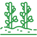 comprar plantas