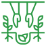 plantas