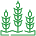 comprar plantas
